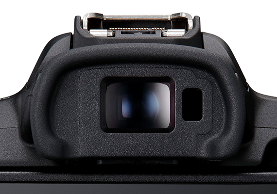 Canon EOS R50 Mirrorless Camera Body Black + Microphone Tripod Accessory  Bundle 13803351408