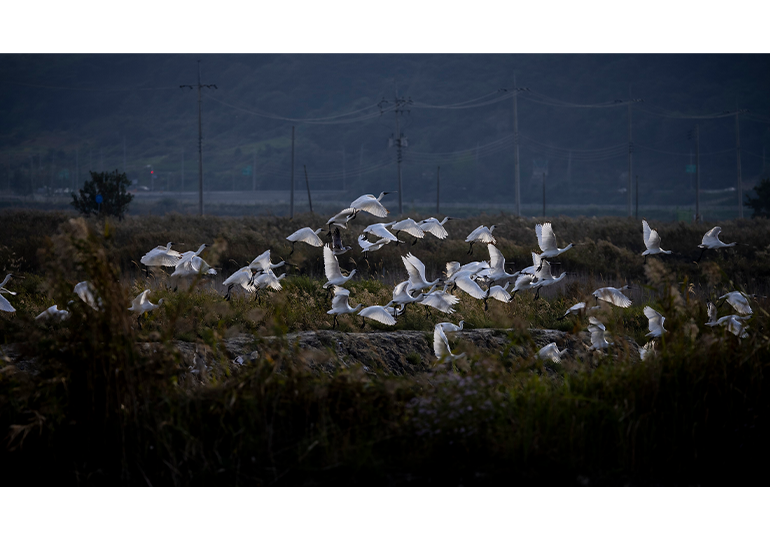 Jongryul Lee photo01