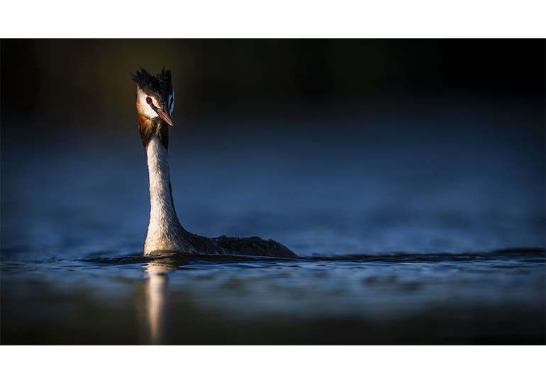 Jongryul Lee photo04