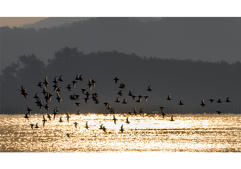 Jongryul Lee photo02