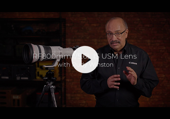 RF800mm f5.6L IS USM Rudy Winston