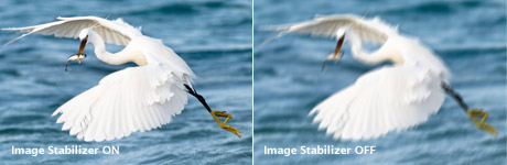 Steady sights with Image Stabilizer